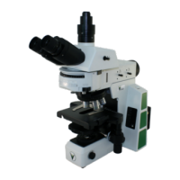 Content Dam Bow En Articles 2015 11 Research Microscope Line By 259 Holdings Leftcolumn Article Thumbnailimage File