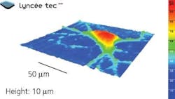 Content Dam Bow Online Articles 2011 08 Microscopy Neurons Content Dam Bow Online Articles 2011 08 Microscopy Neurons