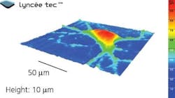 Content Dam Bow Online Articles 2011 08 Microscopy Neurons Content Dam Bow Online Articles 2011 08 Microscopy Neurons