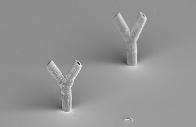 Content Dam Bow Online Articles 2011 09 Laser Synth Tissue Fig1 Web