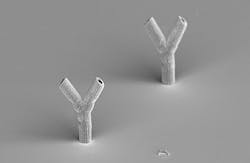 Content Dam Bow Online Articles 2011 09 Laser Synth Tissue Fig1 Web Content Dam Bow Online Articles 2011 09 Laser Synth Tissue Fig1 Web