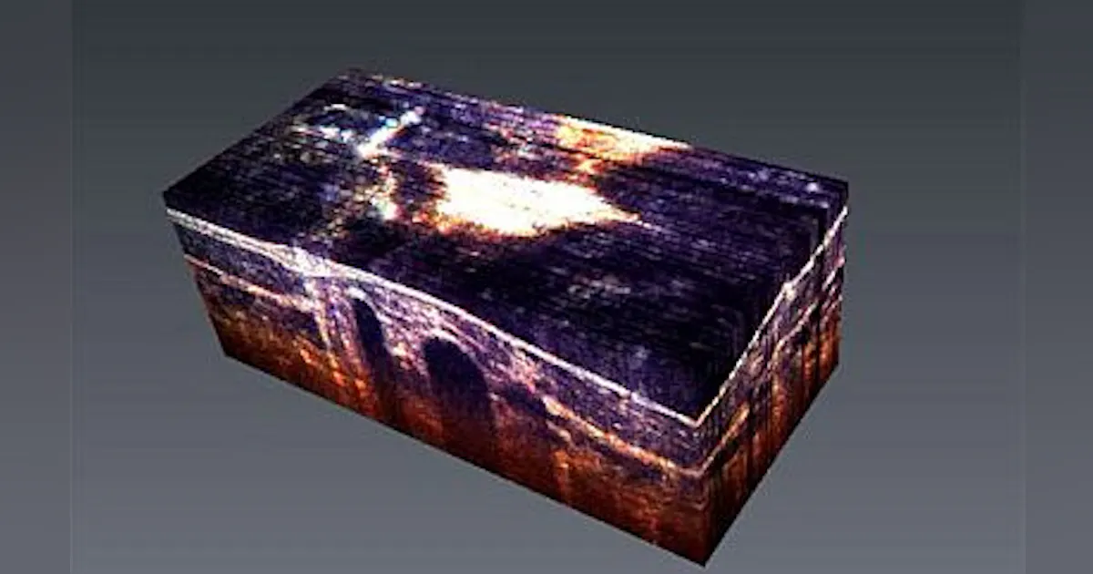 Spectroscopic OCT technique reveals true colors of living tissue ...