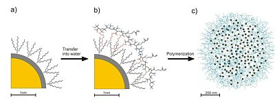 A quantum dot with an amphiphilic polymer coating, at which other polymer chains can be 'clicked' to form new combinations with other quantum dots.