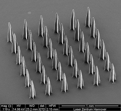 Content Dam Bow Online Articles 2011 11 Lzh Fig 4 Web