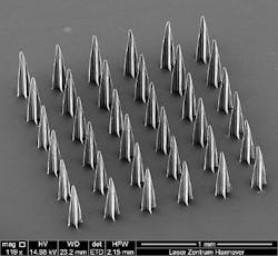 Content Dam Bow Online Articles 2011 11 Lzh Fig 4 Web Content Dam Bow Online Articles 2011 11 Lzh Fig 4 Web