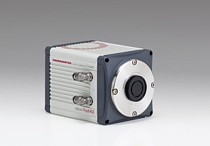 Content Dam Bow Online Articles 2011 12 Hamamatsu 120811