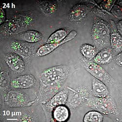 Content Dam Bow Online Articles 2011 12 Nanotubes 120611 Content Dam Bow Online Articles 2011 12 Nanotubes 120611