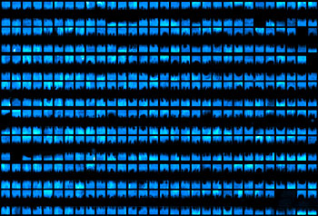 Content Dam Bow Online Articles 2011 12 Neon Signs 01