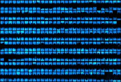 Content Dam Bow Online Articles 2011 12 Neon Signs 01 Content Dam Bow Online Articles 2011 12 Neon Signs 01