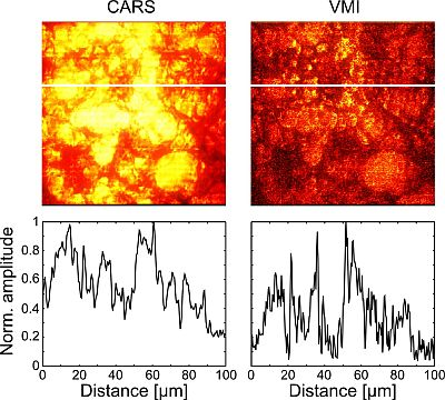 Content Dam Bow Online Articles 2011 12 Reverse Spectroscopy Web