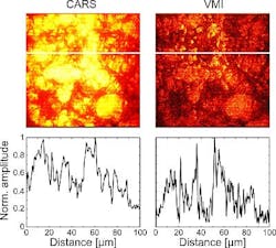 Content Dam Bow Online Articles 2011 12 Reverse Spectroscopy Web Content Dam Bow Online Articles 2011 12 Reverse Spectroscopy Web