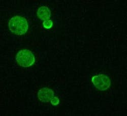 Content Dam Bow Online Articles 2012 02 40773 Web Content Dam Bow Online Articles 2012 02 40773 Web