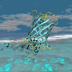 Content Dam Bow Online Articles 2012 03 Bow Mturquoise2 Fig1 Web Content Dam Bow Online Articles 2012 03 Bow Mturquoise2 Fig1 Web