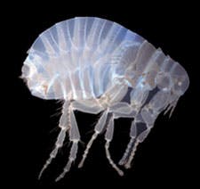 Content Dam Bow Online Articles 2012 03 Ims Bio Lens3 Content Dam Bow Online Articles 2012 03 Ims Bio Lens3