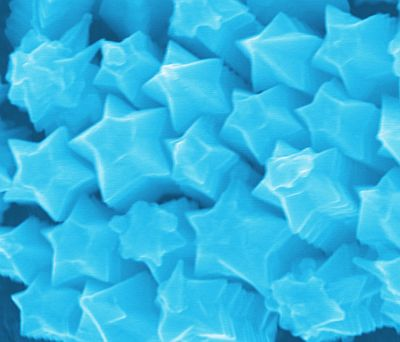 Content Dam Bow Online Articles 2012 03 Nanostarfruits Web