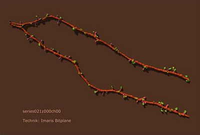 Content Dam Bow Online Articles 2012 04 Imaris Rendering Web
