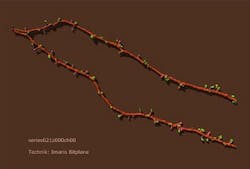 Content Dam Bow Online Articles 2012 04 Imaris Rendering Web Content Dam Bow Online Articles 2012 04 Imaris Rendering Web