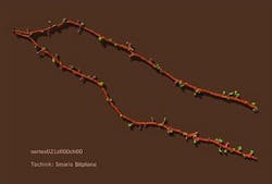 Content Dam Bow Online Articles 2012 04 Imaris Rendering Web Content Dam Bow Online Articles 2012 04 Imaris Rendering Web