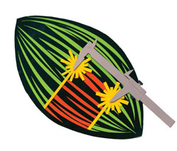 Content Dam Bow Online Articles 2012 04 Mitoticspindle2