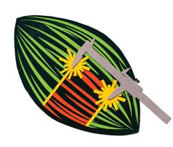 Content Dam Bow Online Articles 2012 04 Mitoticspindle2 Content Dam Bow Online Articles 2012 04 Mitoticspindle2