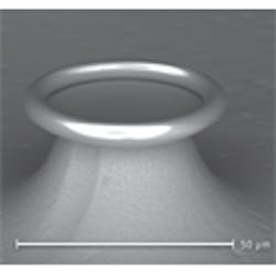 Content Dam Bow Online Articles 2012 05 Biophotonics Development Content Dam Bow Online Articles 2012 05 Biophotonics Development