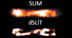 Content Dam Bow Online Articles 2012 06 3d Microscopy Content Dam Bow Online Articles 2012 06 3d Microscopy