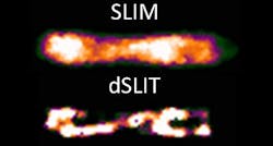 Content Dam Bow Online Articles 2012 06 3d Microscopy Content Dam Bow Online Articles 2012 06 3d Microscopy