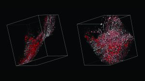 Content Dam Bow Online Articles 2012 06 Carlzeiss 061112 Web