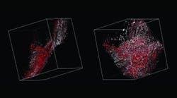 Content Dam Bow Online Articles 2012 06 Carlzeiss 061112 Web Content Dam Bow Online Articles 2012 06 Carlzeiss 061112 Web