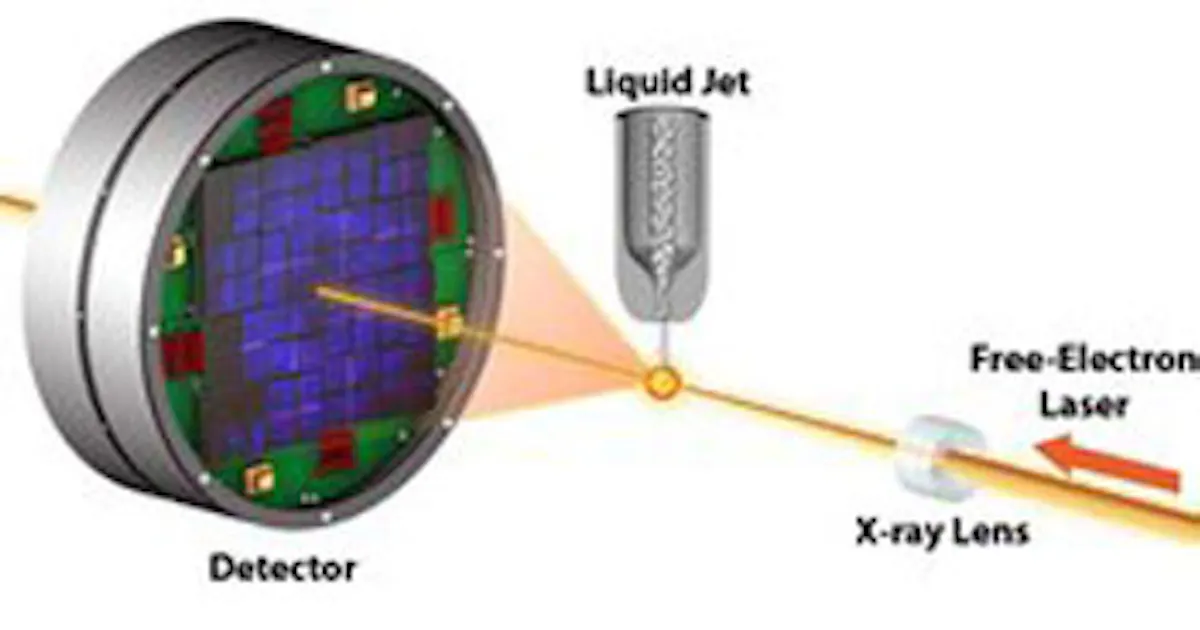 Free-electron lasers reveal architecture of proteins in unprecedented ...