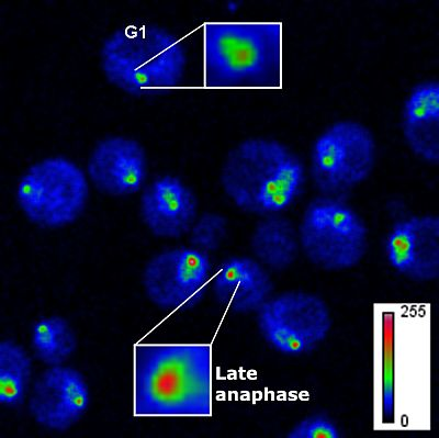 Content Dam Bow Online Articles 2012 07 7 19 12 Gerton Web