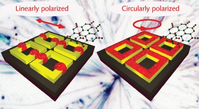 Content Dam Bow Online Articles 2012 07 Lfw Polarized
