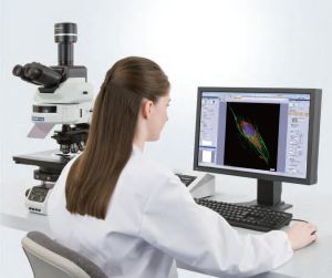 Content Dam Bow Online Articles 2012 07 Olympus 071912 Web