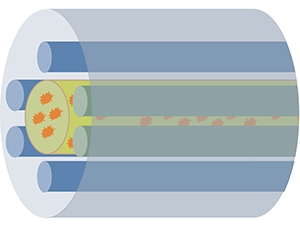 Content Dam Bow Online Articles 2012 08 Hi 4671