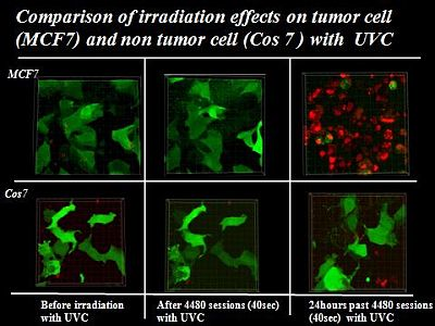 Content Dam Bow Online Articles 2012 08 Neoplastic 082112