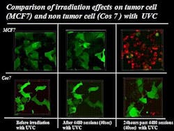 Content Dam Bow Online Articles 2012 08 Neoplastic 082112 Content Dam Bow Online Articles 2012 08 Neoplastic 082112