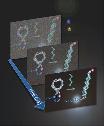 Content Dam Bow Online Articles 2012 09 0907 Marti Figure