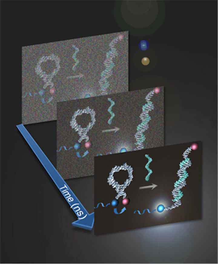dna sequences