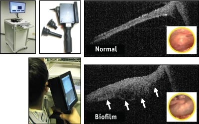 Content Dam Bow Online Articles 2012 10 Bow Web Handheldf1