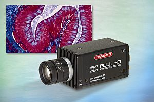 Content Dam Bow Online Articles 2012 10 Dage Mti Hd 210u Web