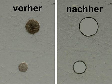Content Dam Bow Online Articles 2012 10 Laser Microdissection Web
