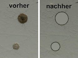 Content Dam Bow Online Articles 2012 10 Laser Microdissection Web Content Dam Bow Online Articles 2012 10 Laser Microdissection Web