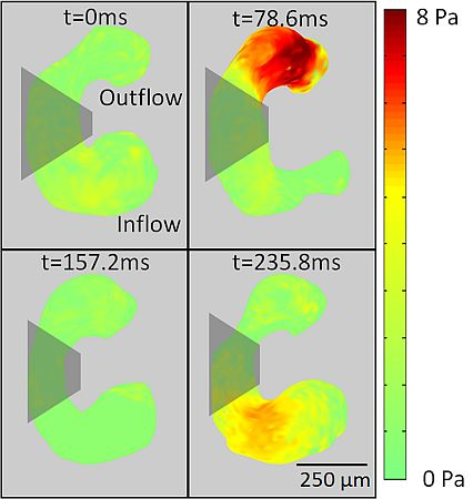 Content Dam Bow Online Articles 2012 11 Boex Heart Stress Maps Fig3 Web