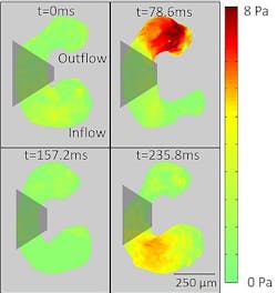 Content Dam Bow Online Articles 2012 11 Boex Heart Stress Maps Fig3 Web Content Dam Bow Online Articles 2012 11 Boex Heart Stress Maps Fig3 Web