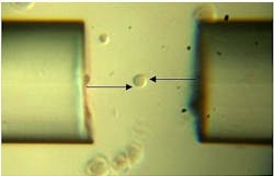 Content Dam Bow Online Articles 2012 12 Ol Fiber Optic Spanner Fig1c Web Content Dam Bow Online Articles 2012 12 Ol Fiber Optic Spanner Fig1c Web
