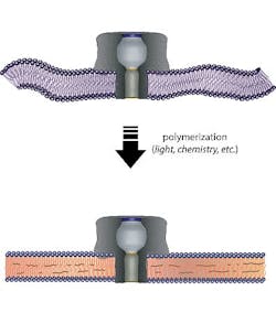 Content Dam Bow Online Articles 2013 01 Retrieve Web Content Dam Bow Online Articles 2013 01 Retrieve Web