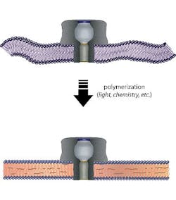 Content Dam Bow Online Articles 2013 01 Retrieve Web Content Dam Bow Online Articles 2013 01 Retrieve Web