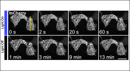 Content Dam Bow Online Articles 2013 02 2013 0213 Kane Clustering