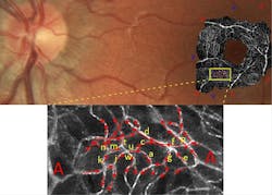 Content Dam Bow Online Articles 2013 02 Bedggood Image Web Content Dam Bow Online Articles 2013 02 Bedggood Image Web