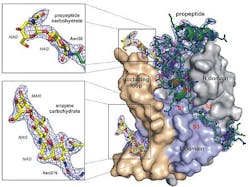 Content Dam Bow Online Articles 2013 03 26823 Peptidebig Web Content Dam Bow Online Articles 2013 03 26823 Peptidebig Web
